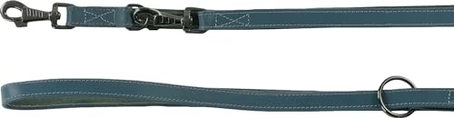 TRAININGSLEINE Denver BLAU 200CM 22MM von Flamingo