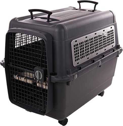 Flamingo Transportkäfig für Hund Lanta Dunkelgrau XL - 60x92x75cm - Leicht zu bewegen durch 2 Griffe - Mit abnehmbarem Futternapf und auslaufsicherem Trinknapf von Flamingo