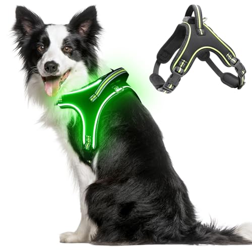 Flashseen LED-Hundegeschirr, beleuchtetes Hundegeschirr mit Griff, reflektierendes Hundegeschirr, wiederaufladbar, verstellbar, leicht, regenfest (Grün, L) von Flashseen