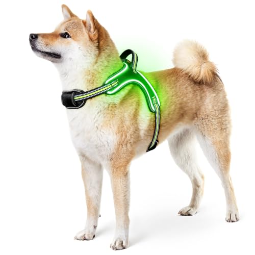 Flashseen LED-Hundegeschirr, beleuchtetes Hundegeschirr mit Griff, reflektierendes Hundegeschirr, wiederaufladbar, verstellbar, leicht, regenfest (Grün, M) von Flashseen