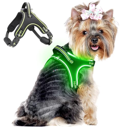 Flashseen LED-Hundegeschirr, beleuchtetes Hundegeschirr mit Griff, reflektierendes Hundegeschirr, wiederaufladbar, verstellbar, leicht, regenfest (Grün, S) von Flashseen