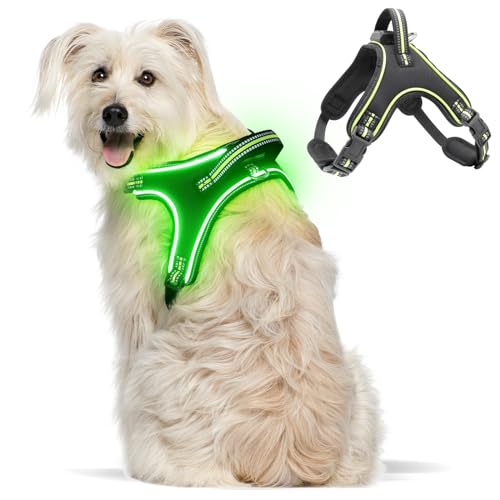 Flashseen LED-Hundegeschirr, beleuchtetes Hundegeschirr mit Griff, reflektierendes Hundegeschirr, wiederaufladbar, verstellbar, leicht, regenfest (Grün, XL) von Flashseen