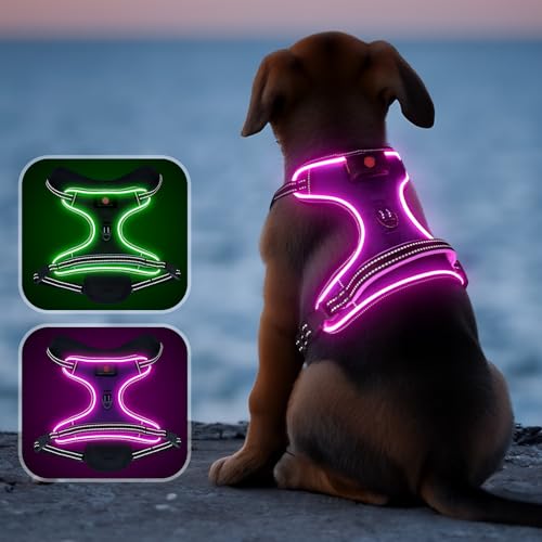 Flashseen LED-Hundegeschirr, beleuchtetes Hundegeschirr mit Griff, reflektierendes Hundegeschirr, wiederaufladbar, verstellbar, leicht, regenfest (Rosa, L) von Flashseen