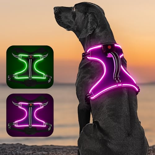 Flashseen LED-Hundegeschirr, beleuchtetes Hundegeschirr mit Griff, reflektierendes Hundegeschirr, wiederaufladbar, verstellbar, leicht, regenfest (Rosa, XL) von Flashseen