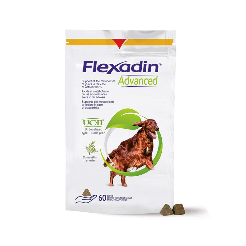 Flexadin Advanced - 30 Brocken von Flexadin