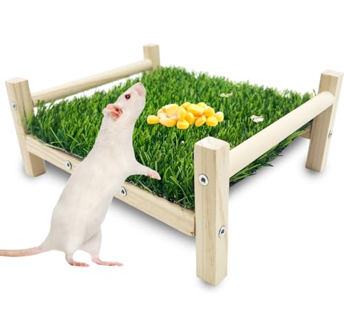 FlidRunest Holz-Ratten-Futtersuchspielzeug, Kunstrasen-Futtermatte für Ratten, sichere Rattenanreicherung, Spielzeug, Aktivitäten, Langeweile, hängende Rattenbett-Spielzeug für Haustier-Ratten von FlidRunest