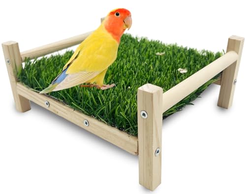 FlidRunest Vogelfutter-Bett, Papageien-Hängematten-Bett, Papageien-Gras-Sitzstange, Vogelsitzstange, Conure Plattform, Gras, Futterspielzeug für Sittiche, Papageien, Nymphensittiche, Nymphensittiche, von FlidRunest