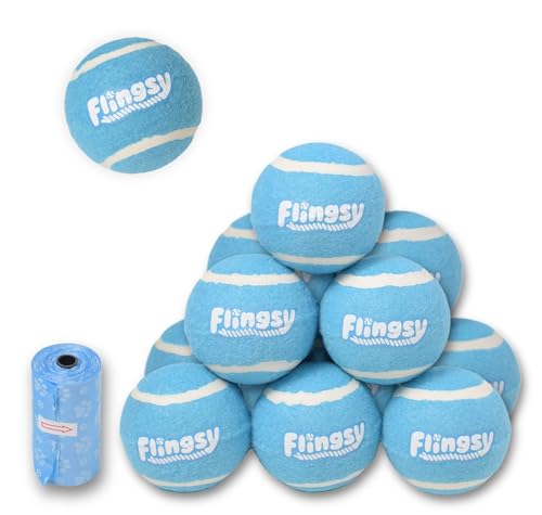 Flingsy Box mit zwölf Tennisbällen für Hunde, hellblau, Apportierball für Flingsy Spielzeug, Dutzend Packung, 6,3 cm, kompatibel mit mittelgroßem Werfer und Launcher von Flingsy