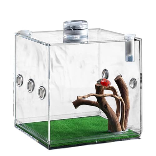 Clear Glass Reptile Container, Clear Reptile Cage - Acrylterrarium zum Springen von Spinnenwachstum | Schwachkiste für kleine Tier mit Atemloch für Schildkröten, Schnecken, Eidechsen und Käfer von Flkiglm