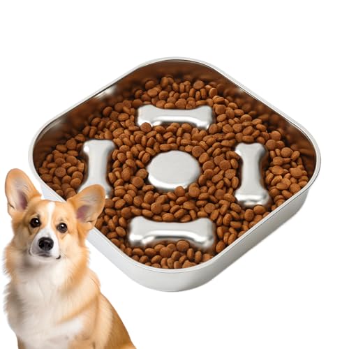 Hundefutternapf Slow Feeder | Haustier Edelstahl Futternapf,Anti Rutsch & Schlingtraining Fressnapf für Welpe Kätzchen Senioren Hundefutternapf Slow Feeder | Haustier Edelstahl Futternapf,Anti Rutsch & Schlingtraining Fressnapf für Welpe Kätzchen Senioren von Flkiglm