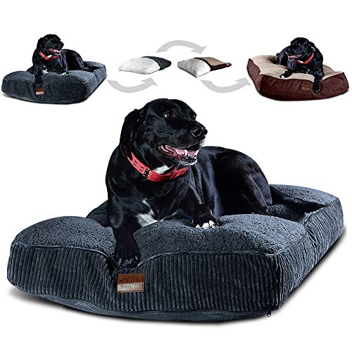 2-in-1-Hundebett, austauschbar, sehr groß, mit zwei abnehmbaren Bezügen und wasserdichtem Futter, für große Hunde bis zu 45 kg mehr, 122 x 76 cm, gefüllt, 20,3 cm hoch Memory-Schaumstoff-Stücken. von Floppy Dawg