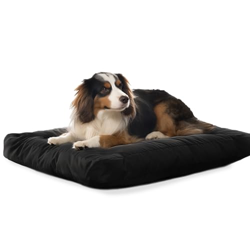 Flowen Hundekissen Kleine Hunde 60x40 Leicht Waschbar mit Abnehmbarem Bezug Hundebett Wasserdicht Anti-Biss und Anti-Kratzer Hundematte Schwarz in 10cm Höhe Ideal im Sommer und Winter von Flowen