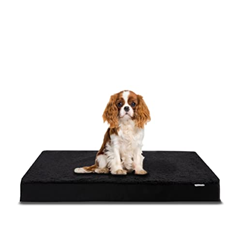 Flowen Orthopädisches Hundebett Mittelgroße Hunde 75x50x8cm Hundekissen Flauschig Doppelgesicht Wasserdicht mit Waschbar Außenbezug Anti-Biss Anti-Kratzer Hundematte Ideal im Sommer-Winter Schwarz von Flowen