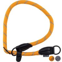 Floxik Retrieverhalsband - Robustes Halsband mit Zugstopp orange von Floxik