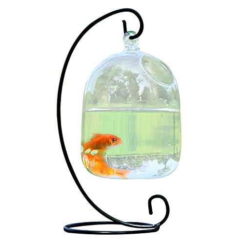 Flueyer Kleines Betta-Fischbecken mit Ständer, klares Pflanzen-Terrarium für Zuhause, Büro, Garten, Dekoration von Flueyer