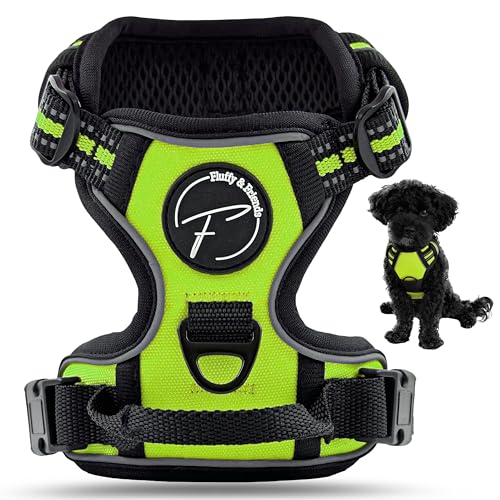 Hundegeschirr für kleine und mittelgroße Hunde reflektierend aus Nylon - Anti Zug Geschirr ideal für Trainingseinheiten mit Welpen - atmungsaktive mesh Polsterung (Grün, Gr. S) von Fluffy & Friends