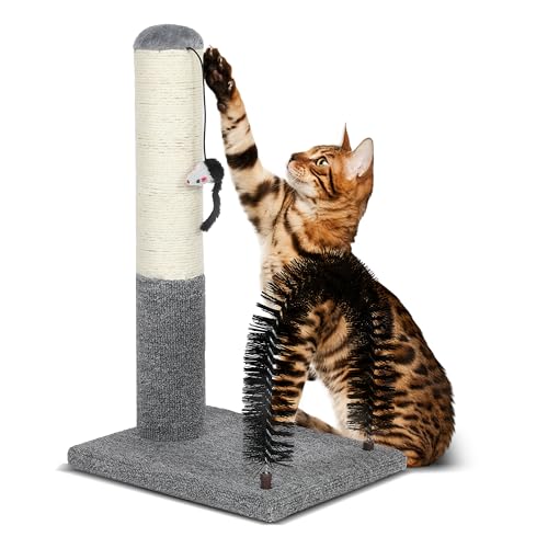 Cat Scratching Post Pad with Cat Self Groomer Sisal 46cm Cat Scratcher with Cat Brush,Kitten Scratch Post with Balls,Indoor Cat Scratch Board for Kittens Kitty Cats von FluffyDream