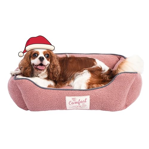 FluffyDream Hundebett für kleine Hunde, superweiches Haustierbett, geeignet für Hunde bis zu 13,6 kg, 61 x 50 cm, Blush von FluffyDream