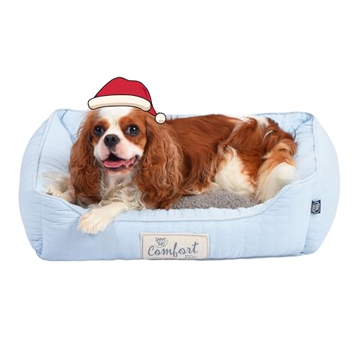 FluffyDream Hundebett für kleine Hunde, superweiches Haustierbett, geeignet für Hunde bis zu 13,6 kg, 61 x 50 cm, Hellblau von FluffyDream