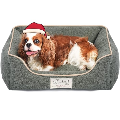 FluffyDream Hundebett für kleine Hunde, superweiches Haustierbett, geeignet für Hunde bis zu 13,6 kg, 61 x 50 cm, Salbeigrün von FluffyDream