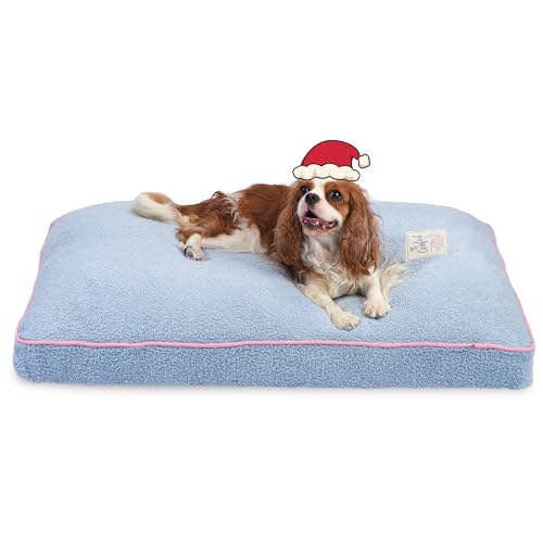 FluffyDream Hundebett für mittelgroße Hunde, superweiche Haustierbettmatte, geeignet für Hunde bis zu 29,5 kg, 91,4 x 68,9 cm, Hellblau von FluffyDream