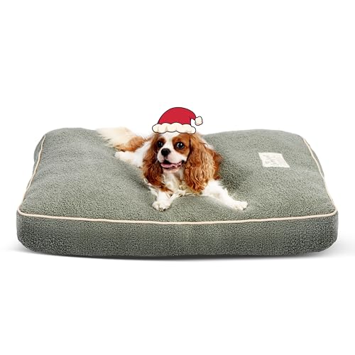 FluffyDream Hundebett für mittelgroße Hunde, superweiche Haustierbettmatte, geeignet für Hunde bis zu 29,5 kg, 91,4 x 68,9 cm, Salbeigrün von FluffyDream