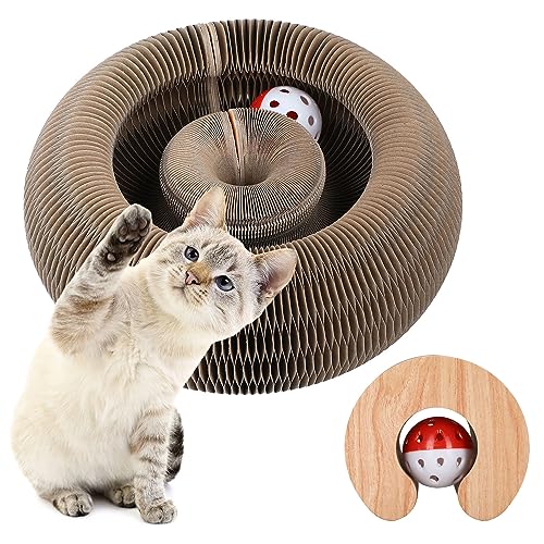 FluffyDream Magische Orgel Katzenkratzbrett,Kitten Kratzbrett für Junge Katze,Interaktive Kratzunterlage mit Ball,Katzenspielzeug Intelligenz Intelligenzspielzeug von FluffyDream