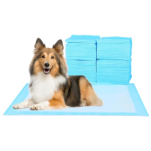 FluffyDream Trainingsunterlage für Hunde und Welpen, 100-Stück 60X60cm Puppy Pads, Welpenunterlagen, Auslaufsicheres 5-Lagiges Design mit Schnell Trocknender Oberfläche, Mittelgroß, Blau von FluffyDream