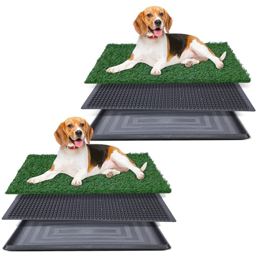 Kunstrasen für Hunde-Töpfchen, 50,8 x 63,5 cm, Starke Saugfähigkeit, Hundegras-Pad mit Tablett, Hundetöpfchentrainingspad, Hundetoilette mit Gras (50,8 x 76,2 cm x 2) von FluffyDream