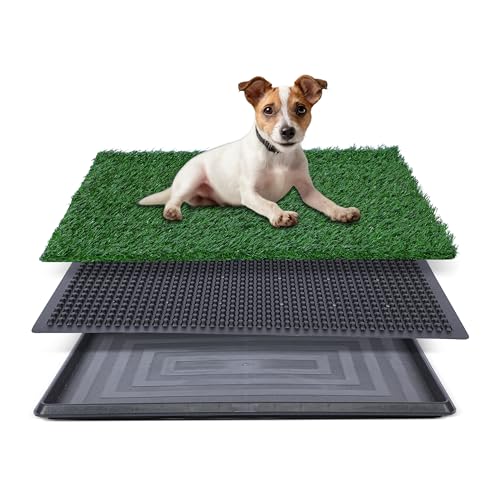 Kunstrasen für Hundetöpfchen – 40,6 x 50,8 cm, starke Saugfähigkeit, Hundegras-Pad mit Tablett, Hundetöpfchentrainingspad, Hundetoilette mit Gras (50,8 x 63,5 cm) von FluffyDream