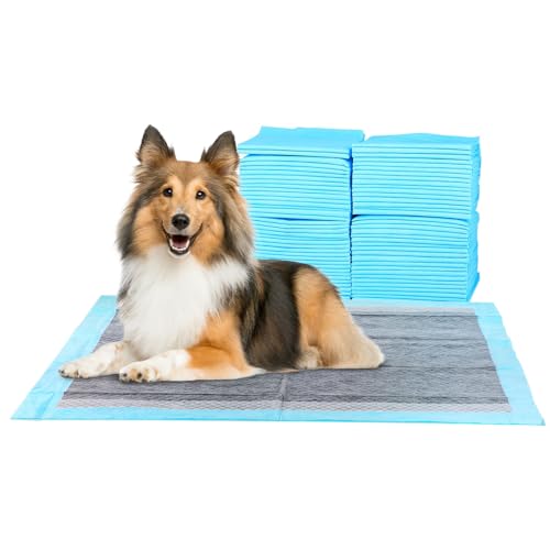 ScratchMe FluffyDream Super Absorbent Waterproof Training Mat for Dogs and Puppies, Burglary Pad for Pets, Pack of 100, Small Size, 56 x 56 cm, Blue von FluffyDream