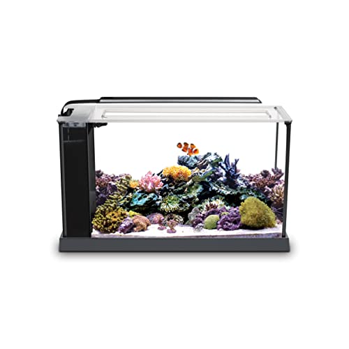 Fluval 10528A1 Evo V Aquarium-Set für Aquarien, 5,7 l, Schwarz von Fluval