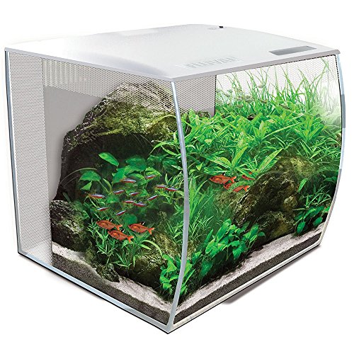 Fluval Flex Aquarium 57L, Süßwasser Aquarium, weiß, 1 Stück (1er Pack) von Fluval