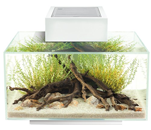 Fluval 15035 Aquarium-Set Edge 2.0, 23 l, blanko von Fluval