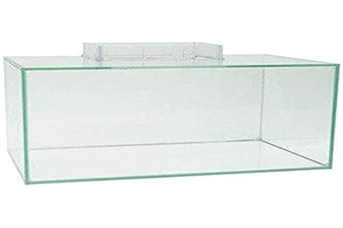 Fluval 15899 Edge Glass Tank Only von Fluval