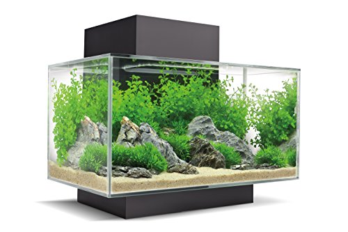 Fluval Edge 2.0 Nano Aquarium, 23L, schwarz, 1 Stück (1er Pack) von Fluval