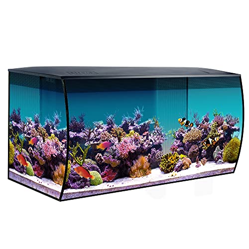 Fluval Flex Marine Aquarium 123L, Meerwasser Aquarium, schwarz, 1 Stück von Fluval