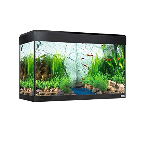 Fluval Roma Aquarium-Set mit LED-Beleuchtung, Bluetooth, 125 l, Schwarz von Fluval