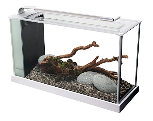 Fluval Spec 5 Nano Aquarium, mit 19L Fassungsvermoegen, in weiss von Fluval