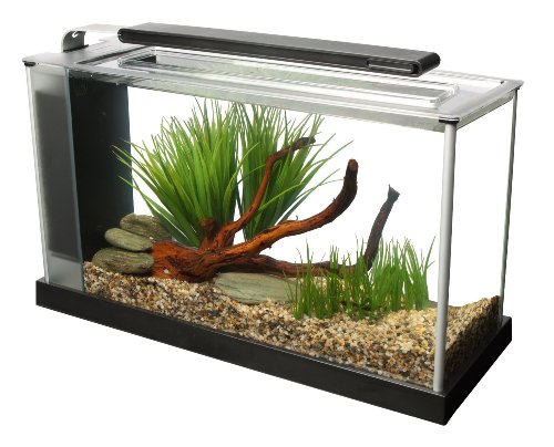 Fluval Spec 5 Nano Aquarium, mit 19L Fassungsvermoegen, in schwarz von Fluval