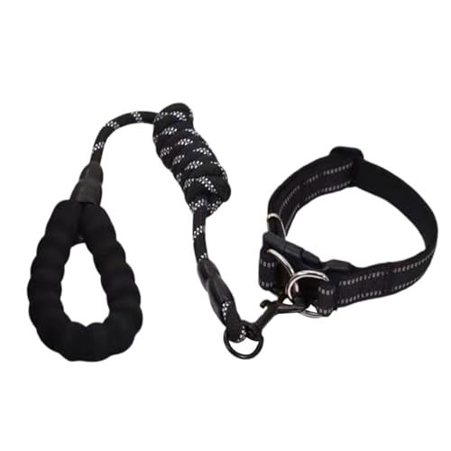 FmtwPhn Hundehalsband für mittelgroße Hunde, Welpenhalsband und Seil-Set | Atmungsaktives Halsband für Hunde mit Seil-Set - Pet Supplies Einfache Hundehalsbänder, geeignet für große, mittlere und von FmtwPhn