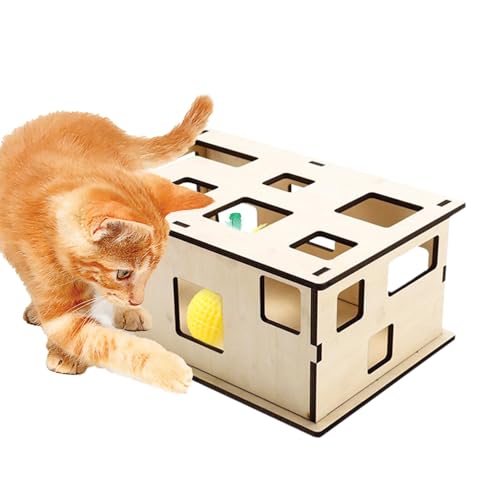 FmtwPhn Katzen-Labyrinth-Spielzeug, Katzen-Puzzle-Box,Abnehmbare Mehrloch-Peek-and- -Spielzeugkiste | Interaktive Bereicherung, Kratzbrett, Linderung von Langeweile, REGT Wohnungskatzen dazu an, von FmtwPhn