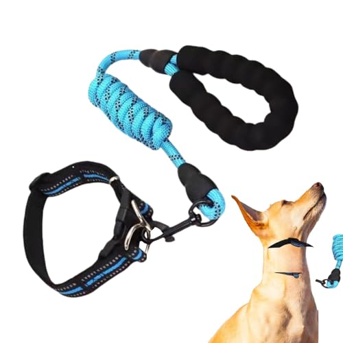 FmtwPhn Kleines Hundehalsband, verstellbares Haustierhalsband - Verstellbares Hundehalsband,Wetterfestes, gepolstertes Hundehalsband, geeignet für große, mittlere und kleine Hunde von FmtwPhn