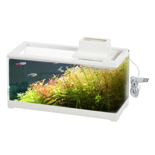 Desktop-Aquarium – Kleines Desktop-Fischaquarium, Auslaufsicheres, Beleuchtetes Kleines Aquarium | Leises Niederspannungs-Tischaquarium Mit Wasserpumpe Für Tische, Schreibtische, Schlafzimmer, Wohnzim von Fmzrbnih