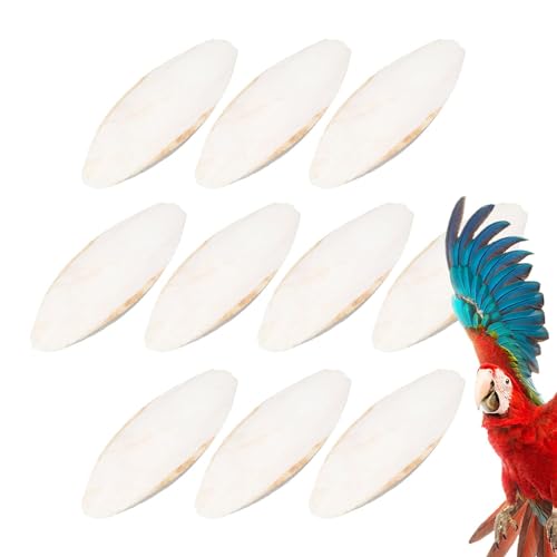 Tintenfischknochen – 10 Stück Papageienzähne Entsalzungsknochen | Natürliches Kuschelknochen-Kauspielzeug Für Papageien, Kauknochen Für Tintenfische, Vogel-Tintenknochen Für Sittiche, Vögel von Fmzrbnih