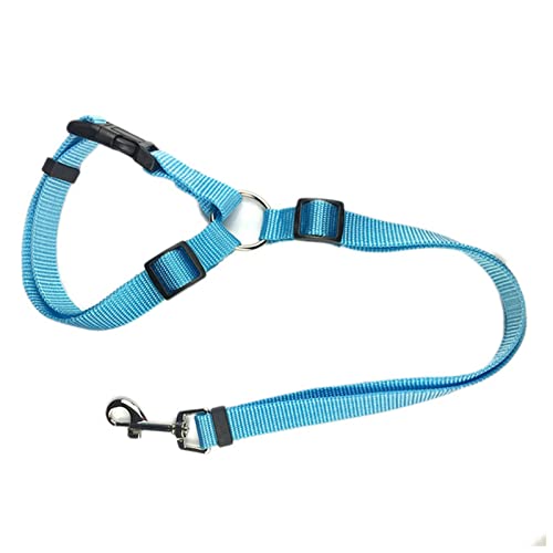 Seil Haustier Pet Products Universal Praktische Katze Hunde Sicherheit Einstellbar Auto Sicherheitsgurt Kabelbaum Leine Welpe Sicherheitsgurt Reise Clip Strap Leitungen Haustierleine Mit (Size : G) von FnnEmg