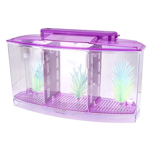 Fockety LED-Acryl-Zucht-Isolationsbox mit DREI Abteilungen, Aquarium mit LED-Lichtern, Kunstrasen für Kleine Fische, Kampffische, Guppys, Mini-Aquarium für Kleine Fische, Wassersport von Fockety