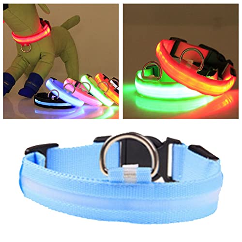 Leuchtendes LED-Hundehalsband, Größe M, Polyester, Leuchtendes LED-Halsband, Superhell, Verstellbare Größe mit D-Ringen für Hunde Im Freien (blaues Licht) von Fockety