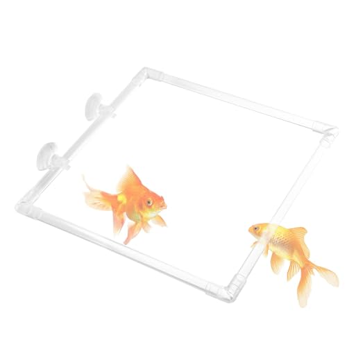 Fisch-Futterring, schwimmender Betta-Futterspender aus Acryl, Futterring-Saugnäpfe, praktischer Fischfutter-Futterspender 21 x 21 cm für Aquarien, perfekte Fütterungslösung für Aquarien zu Hause und i von Foeirp