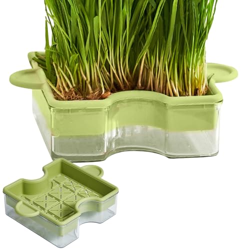 Foeirp Indoor Cat Grass Planter | Cat Grass Hydroponics Box | Puzzle Design Double Layer Planter Box | Hydroponic Soilless Cat Grass Tray for Home, Pet Stores, and Cattery Use von Foeirp